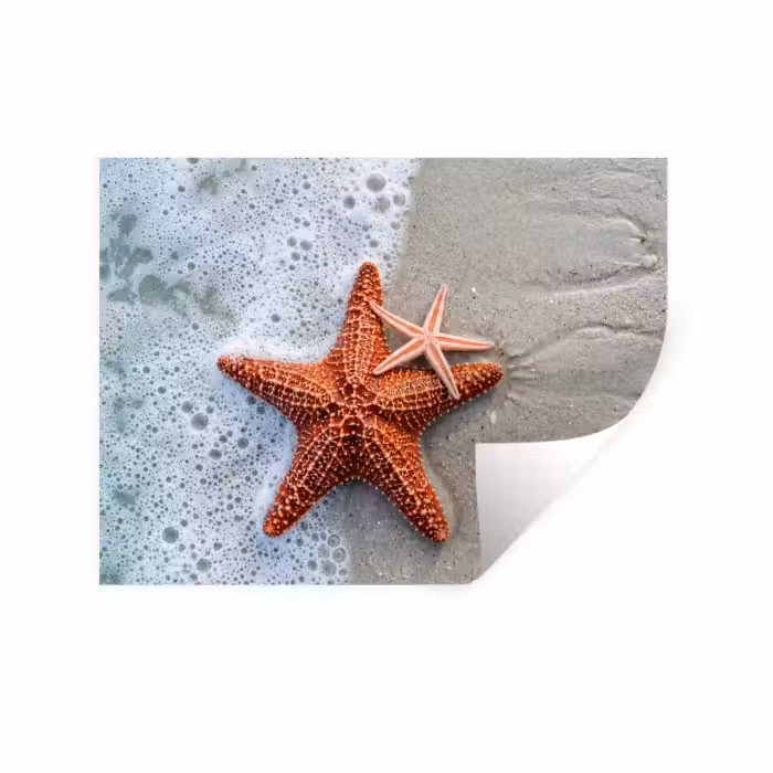 Wandtattoo – Seestern - Strand - Meer