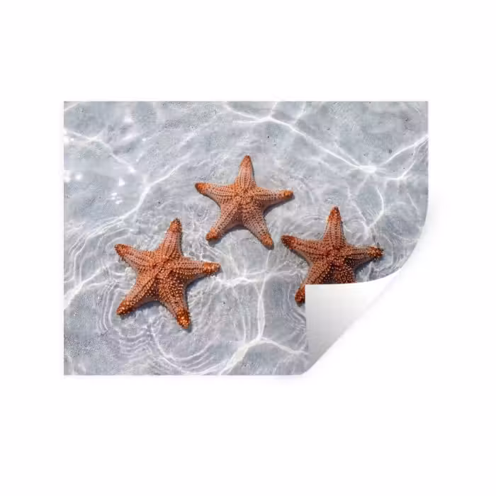 Wandtattoo – Seestern - Wasser - Klar