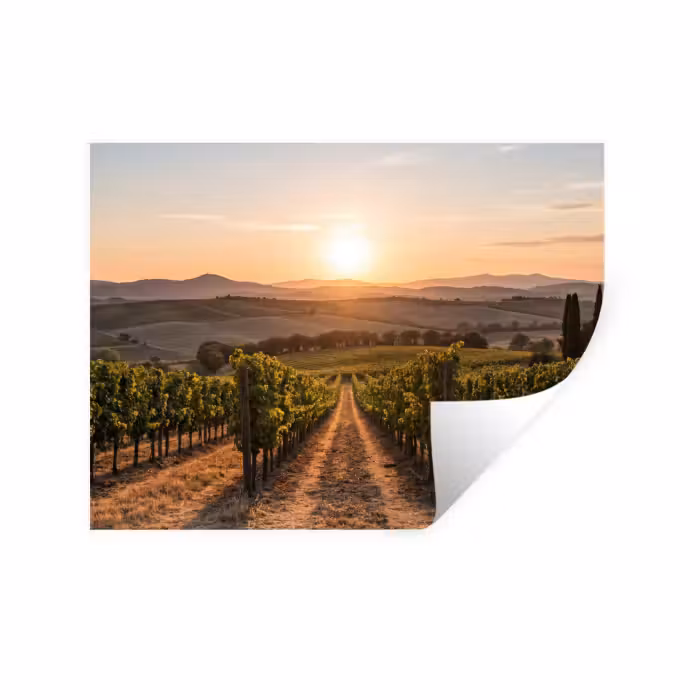 Wandtattoo – Weinberg - Sonnenuntergang - Landschaft