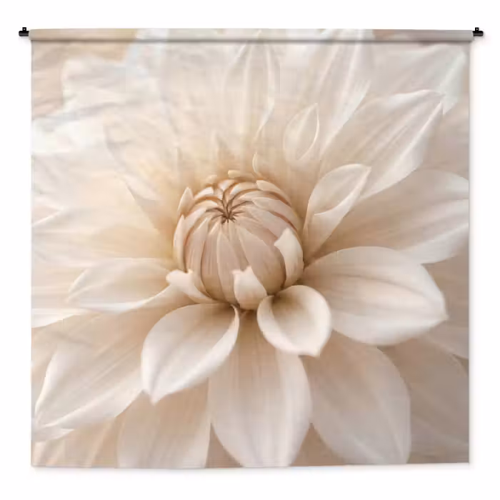 Wandteppich - Blume - Dahlie - Weiß