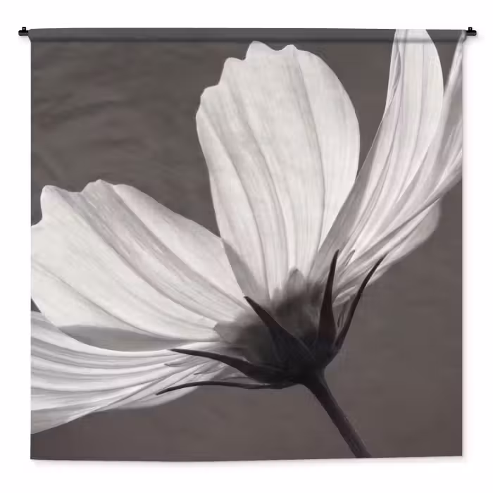 Wandteppich - Blume - Minimalistisch - Schwarz - Weiß