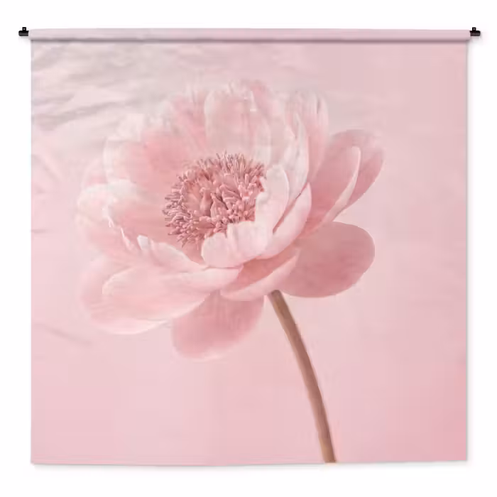 Wandteppich - Blume - Pfingstrose - Rosa