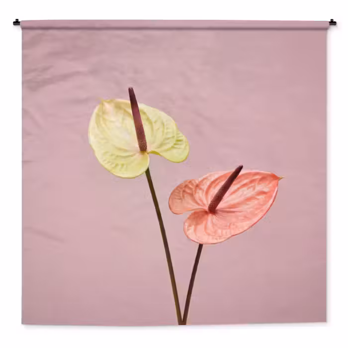 Wandteppich - Blumen - Anthurien - Gelb - Rosa