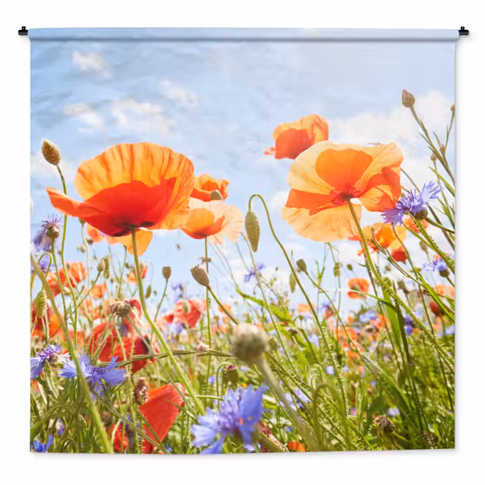 Wandteppich - Blumen - Mohn - Frühling - Natur - Rot - Blau