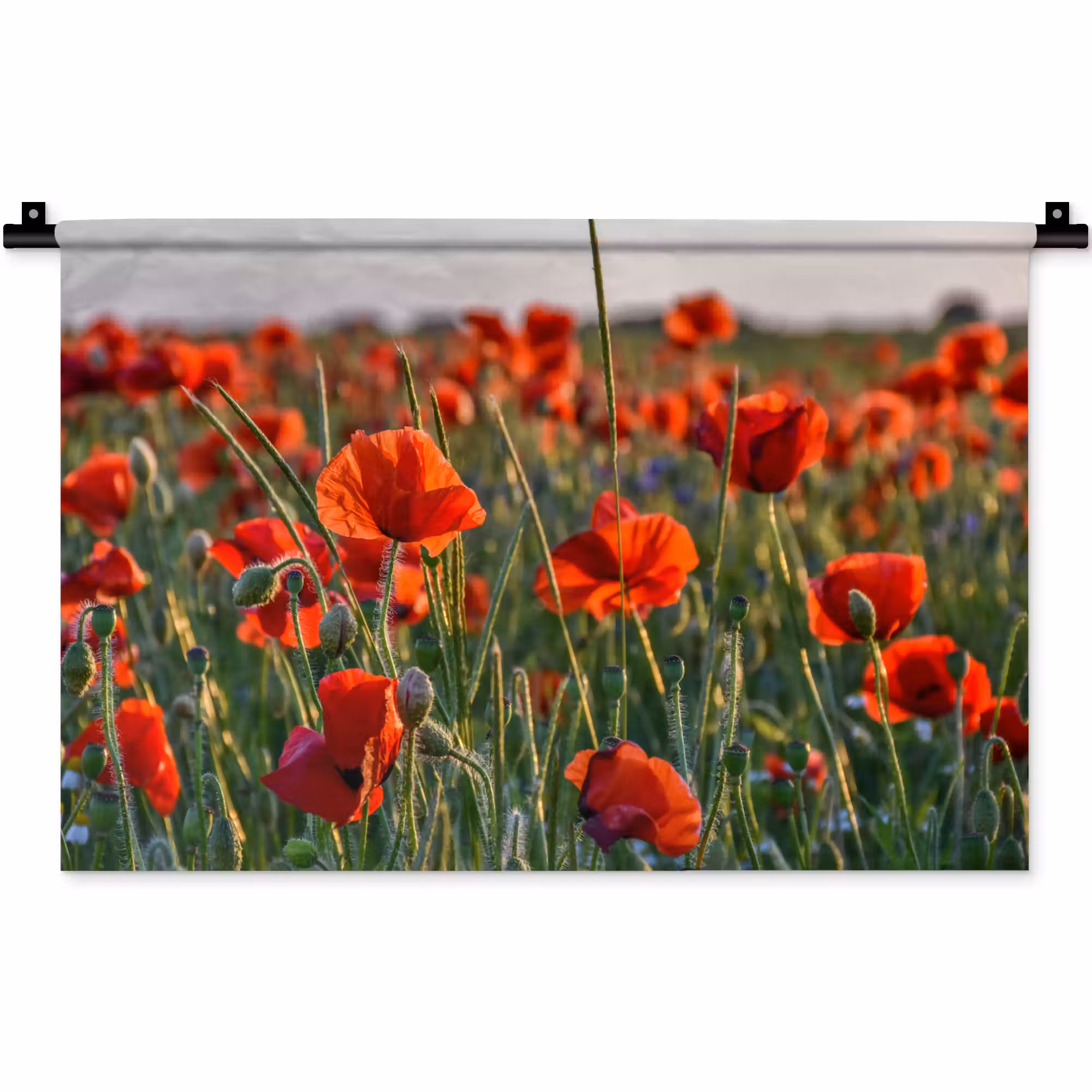 Wandteppich - Blumen - Mohnblumen - Natur - Rot