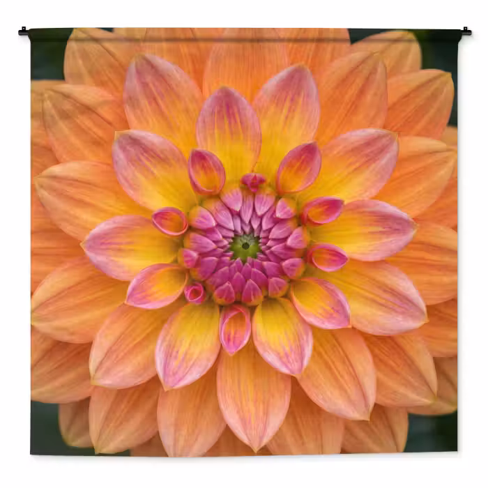 Wandteppich - Dahlie - Blume - Orange