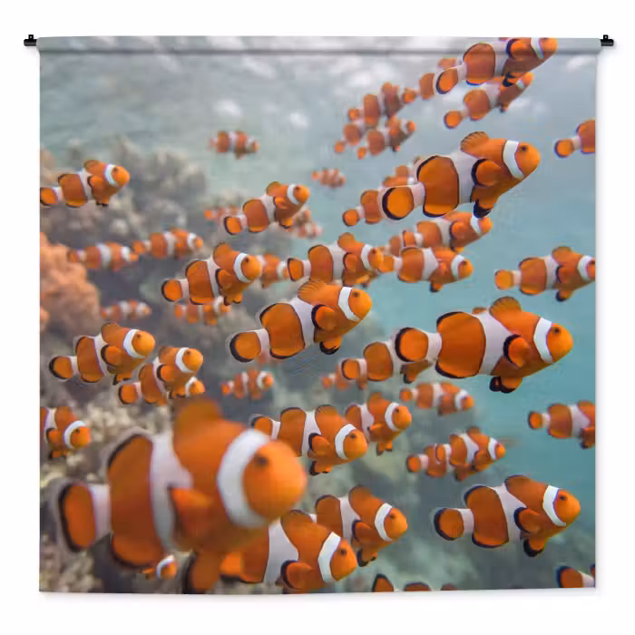 Wandteppich - Fisch – Schwarm – Unterwasser – Tiere – Orange