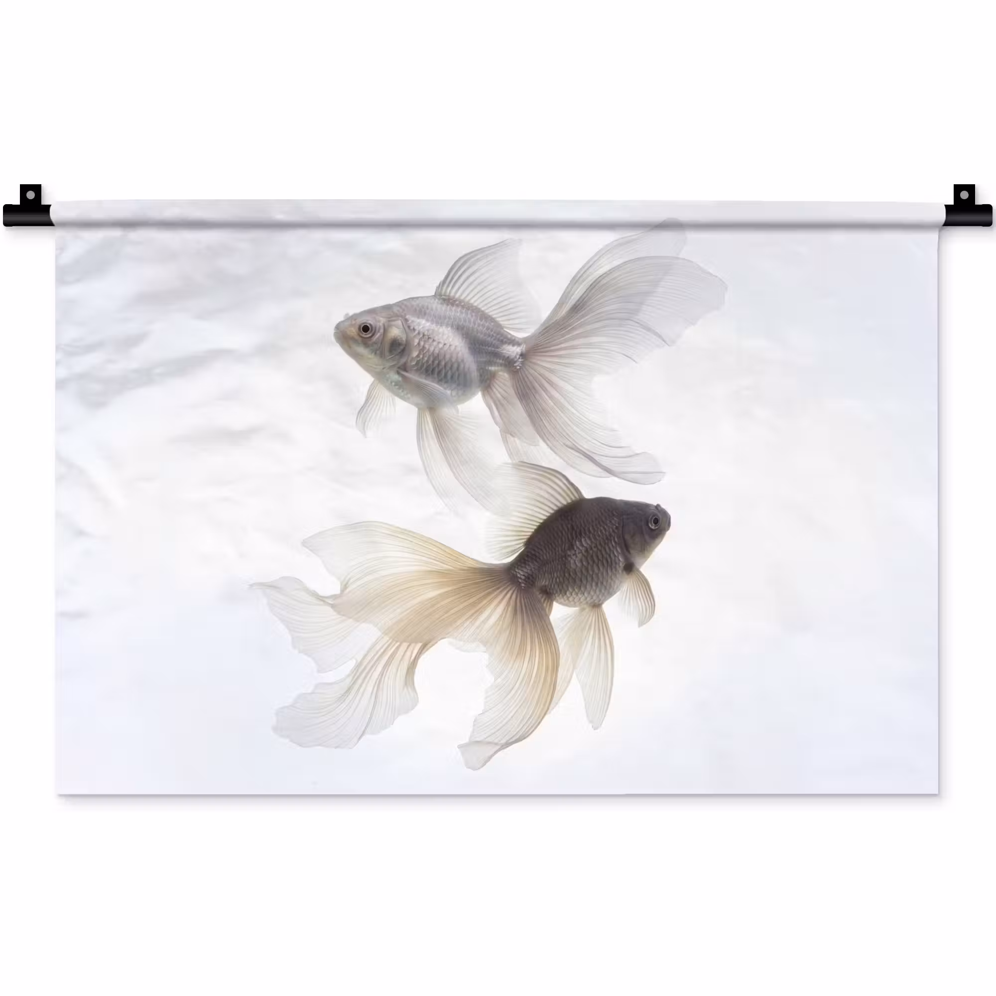 Wandteppich - Goldfisch - Modern - Weiß
