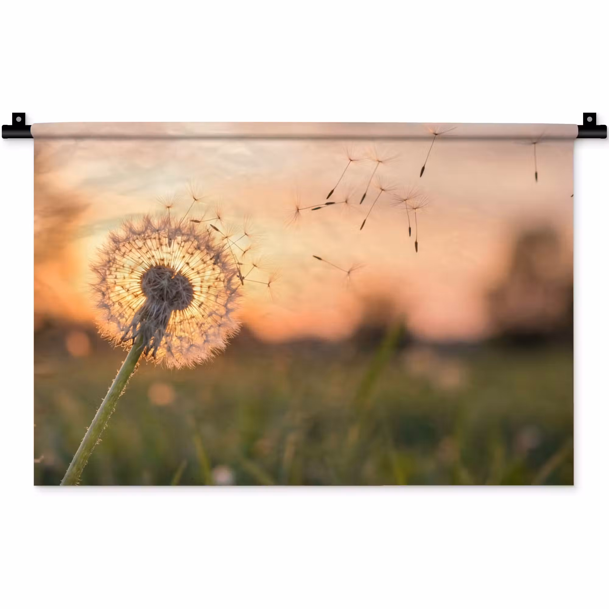 Wandteppich - Löwenzahn - Sonnenuntergang - Feld