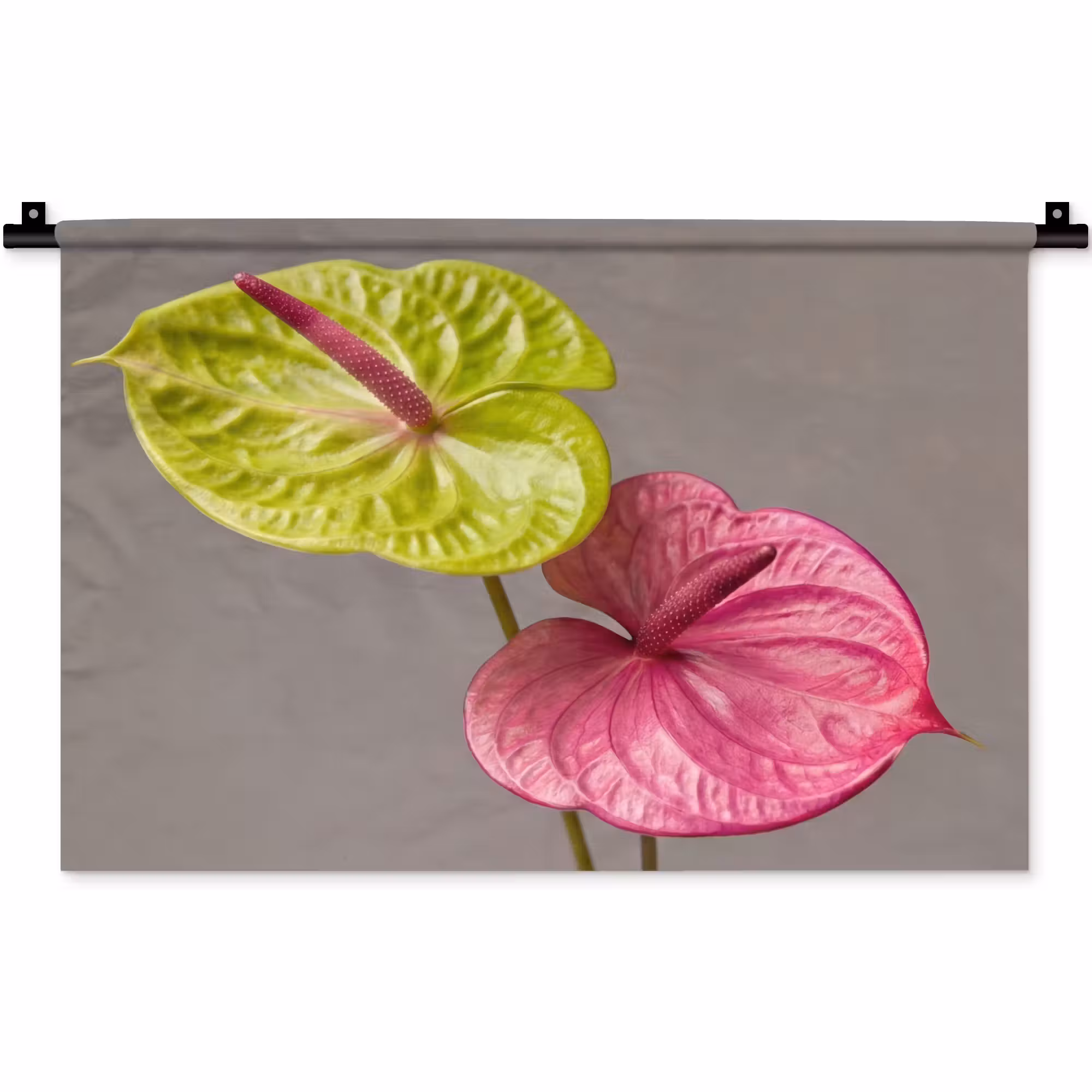 Wandteppich - Pflanzen - Anthurium - Grün - Rosa