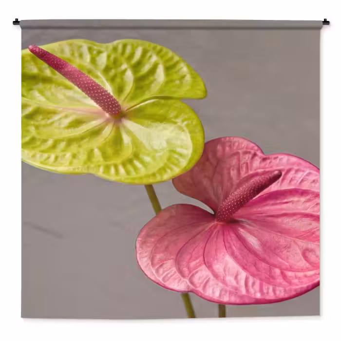 Wandteppich - Pflanzen - Anthurium - Grün - Rosa