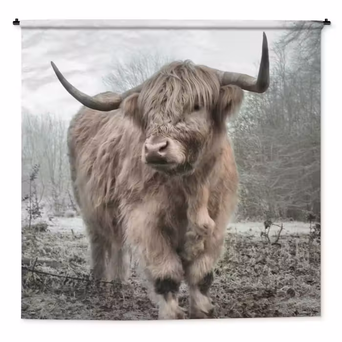 Wandteppich - Schottische Highlander - Natur - Herbst - Tiere - Wildtiere - Wald