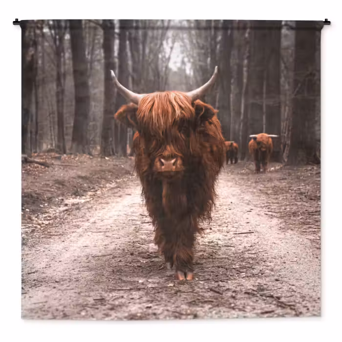 Wandteppich - Schottischer Hochländer - Wald - Kuh - Tiere - Natur