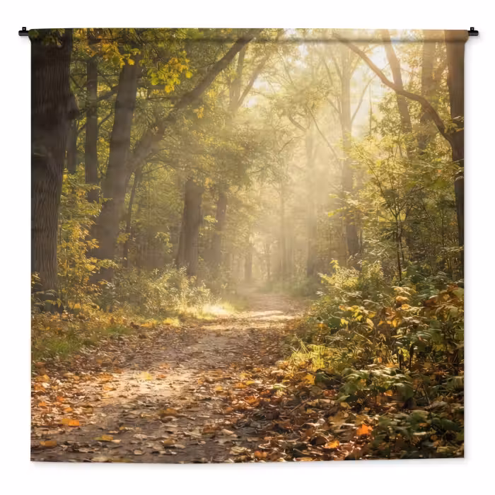 Wandteppich - Sonnenlicht - Waldweg - Bäume