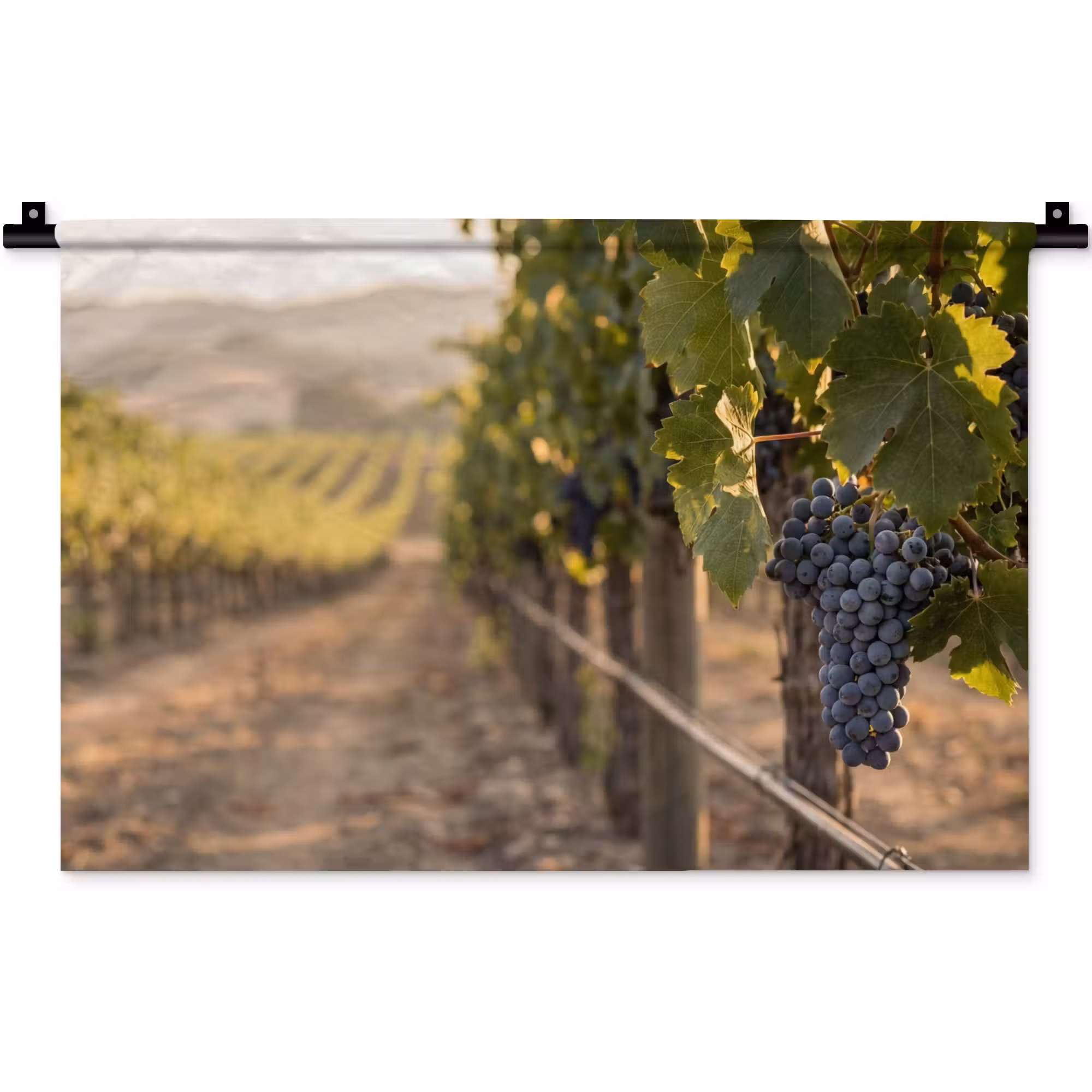 Wandteppich - Trauben - Weinberg - Sonnenlicht