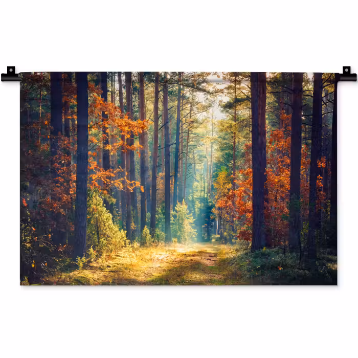 Wandteppich - Wald – Sonne – Natur – Herbst