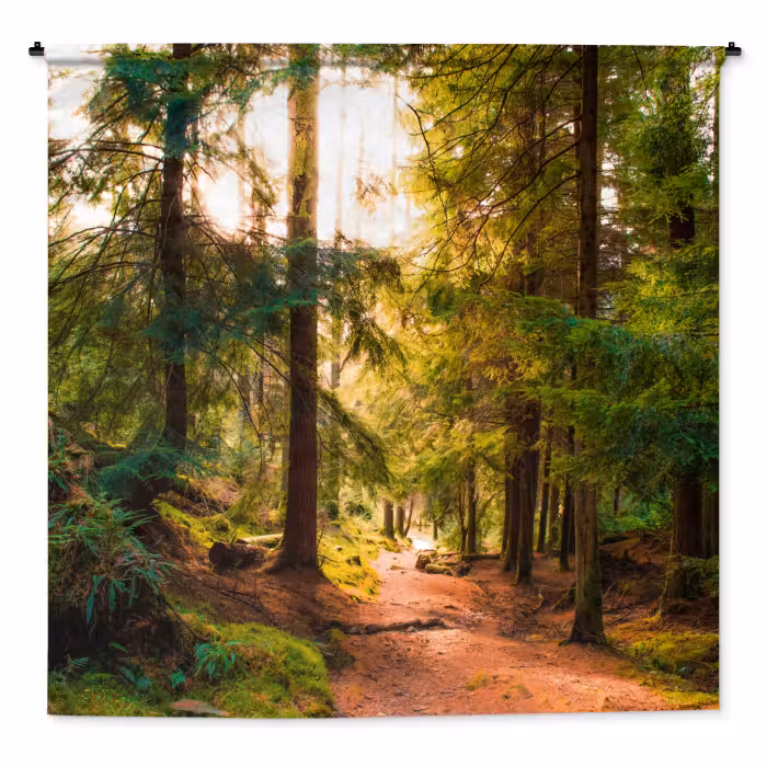 Wandteppich - Wald - Weg - Bäume - Grün - Sonne - Natur