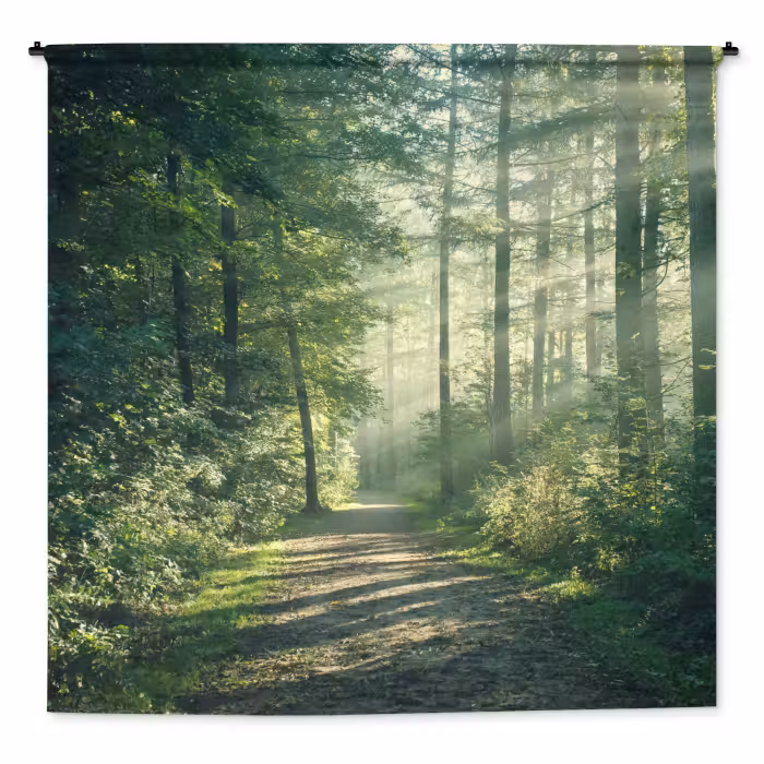 Wandteppich - Wald - Weg - Sonne - Bäume - Grün - Natur